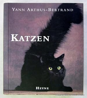 Bild des Verkufers fr Katzen. Text von Danile Laruelle. Mnchen, Collection Rolf Heyne, 2001. 12mo. (10:11 cm). Durchgehend mit farbigen fotografischen Abbildungen. 374 S., 5 Bl. Or.-Kart. (ISBN 34 53186435). zum Verkauf von Jrgen Patzer