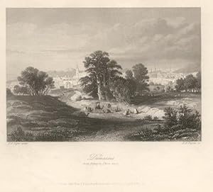 Damascus (vom Palmyra-Thore aus). Verlags-Eigenthum d. Englischen Kunstanstalt v. A.H. Payne Leip...