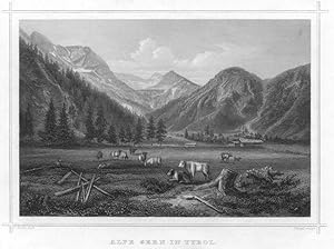 Seller image for Alpe Gern in Tyrol. for sale by Antiquariat Gallus / Dr. P. Adelsberger