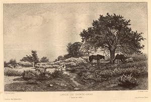 Lande de Sainte-Anne. (Salon de 1878).