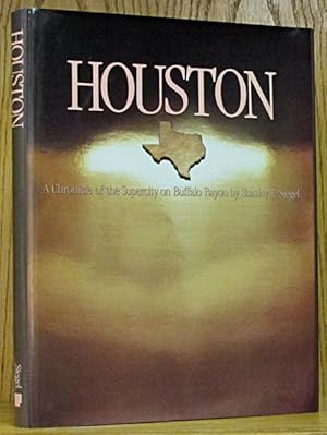 Houston: A Chronicle of the Supercity on Buffalo Bayou