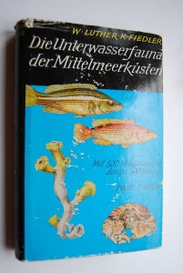 Die Unterwasserfauna der Mittelmeerküsten