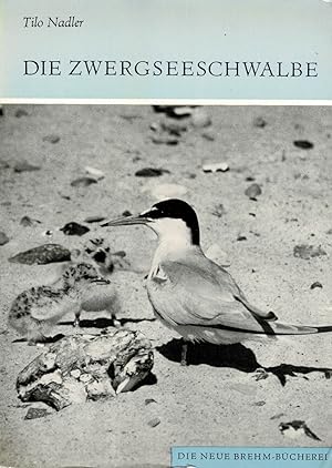 Seller image for Die Zwergseeschwalbe. (Sterna albifrons) (Neue Brehm-Bcherei Band 495) for sale by Schueling Buchkurier