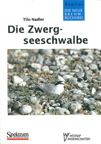 Seller image for Die Zwergseeschwalbe. (Sterna albifrons) Neue Brehm-Bcherei Band 495. for sale by Schueling Buchkurier