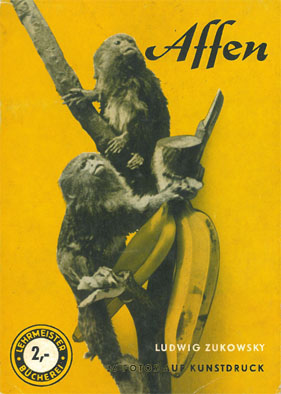 Bild des Verkufers fr Affen als Zimmergenossen und im Zoo. Lehrmeister-Bcherei Nr. 19 (Titelbild: Zwergseidenffchen, gelber Hintergrund) zum Verkauf von Schueling Buchkurier