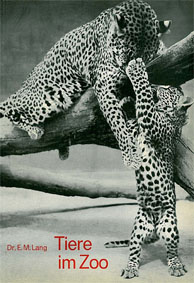 Immagine del venditore per Tiere im Zoo venduto da Schueling Buchkurier
