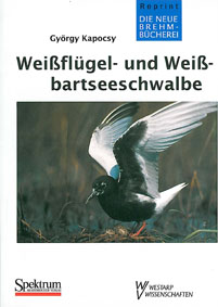 Bild des Verkufers fr Weissbart- und Weissflgelseeschwalbe. Neue Brehm-Bcherei Band 516. zum Verkauf von Schueling Buchkurier