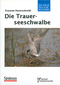 Seller image for Die Trauerseeschwalbe. Neue Brehm-Bcherei Band 508 for sale by Schueling Buchkurier