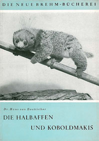 Imagen del vendedor de Die Halbaffen und Koboldmakis. (Neue Brehm-Bcherei, Heft 211.) a la venta por Schueling Buchkurier
