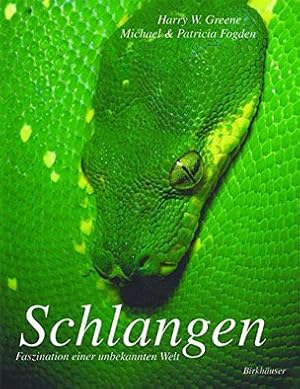 Seller image for Schlangen. Faszination einer unbekannten Welt for sale by Schueling Buchkurier