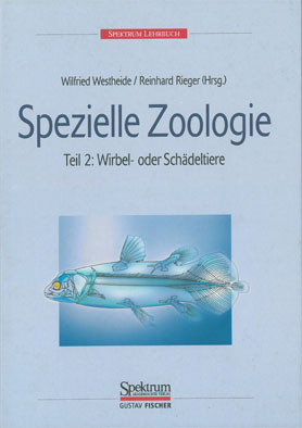 Seller image for Spezielle Zoologie Teil 2: Wirbel- und Schdeltiere for sale by Schueling Buchkurier