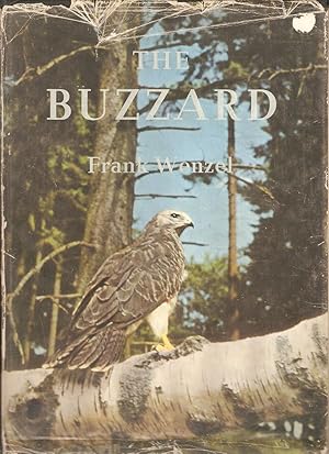 Imagen del vendedor de THE BUZZARD. By Frank Wenzel. a la venta por Coch-y-Bonddu Books Ltd