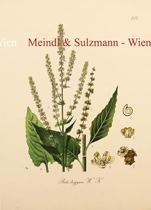 Deutschlands Flora. Als Beleg für die Flora Germanica excursoria und zur Aufnahme und Verbreitung...