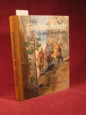 Imagen del vendedor de Die Teufelsschlucht in der Sierra Madre. Ein mexikanisches Abenteuer. a la venta por Wolfgang Kohlweyer