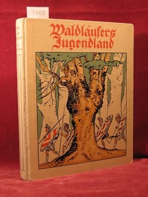 Seller image for Waldlufers Jugendland. for sale by Wolfgang Kohlweyer