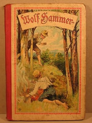 Wolf Hammer der Waldläufer. Eine Erzählung für die Jugend und das Volk.