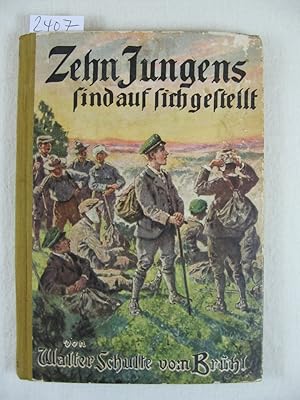 Seller image for Zehn Jungens sind auf sich gestellt. for sale by Wolfgang Kohlweyer