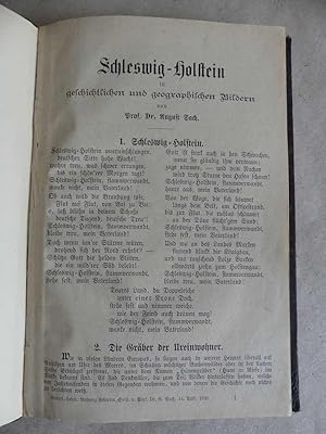 Imagen del vendedor de Schleswig-Holstein in geschichtlichen und geographischen Bildern. a la venta por Antiquariat Maralt