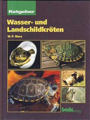 Wasser- und Landschildkröten.