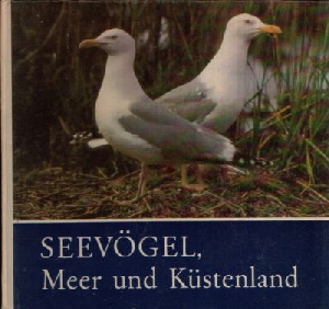 Seller image for Seevgel, Meer und Kstenland for sale by Andrea Ardelt