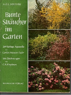 Bunte Sträucher im Garten Eine Enzyklopädie für Gartenfreunde