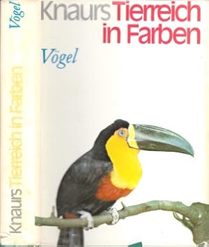 Bild des Verkufers fr Knaurs Tierreich in Farben - Vgel Mit 153 Abbildungen, davon 91 in Farben zum Verkauf von Andrea Ardelt