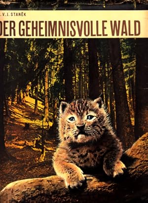 Der geheimnisvolle Wald