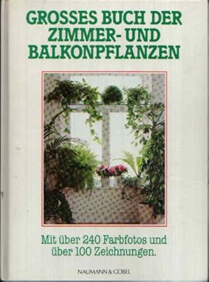 Großes Buch der Zimmer- und Balkonpflanzen Mit über 240 Farbfotos und über 100 Zeichnungen.