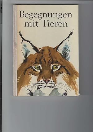 Imagen del vendedor de Begegnungen mit Tieren. Erlebnisse des Tierfngers und Tierpflegers Heinz Hunger; und Otto Hildebrandt: "Die seltsame Fhrte". Mit Illustrationen von Reiner Zieger. a la venta por Antiquariat Frank Dahms