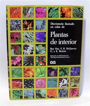 Seller image for DICCIONARIO ILUSTRADO EN COLOR DE PLANTAS DE INTERIOR for sale by Librera Torres-Espinosa