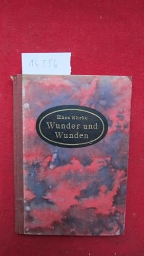 Seller image for Wunder und Wunden : Geschichten von Narren u. Liebenden. for sale by Versandantiquariat buch-im-speicher