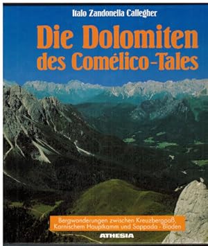 Die Dolomiten des Comelico-Tales. Bergwanderungen zwischen Kreuzbergpass, Karnischem Hauptkamm un...