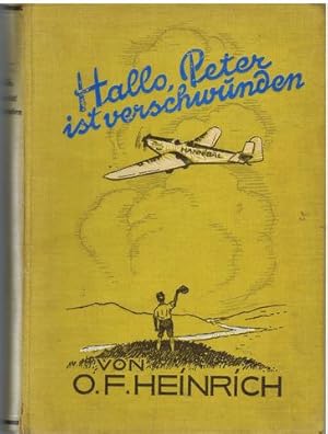 Imagen del vendedor de Hallo, Peter ist verschwunden! Die Geschichte einer abenteuerlichen Fahrt. Mit Illustrationen von Karl Mhlmeister. a la venta por Antiquariat Appel - Wessling