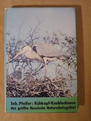 Das Naturschutzgebiet Kühkopf-Knoblochsaue