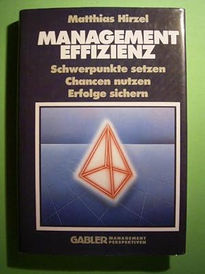 Bild des Verkufers fr Management-Effizienz. Schwerpunkte setzen, Chancen nutzen, Erfolge sichern., zum Verkauf von Versandantiquariat Harald Gross