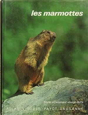 Les marmottes