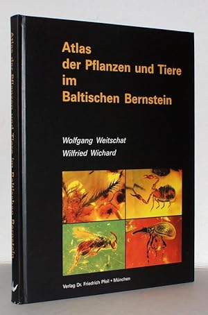 Bild des Verkufers fr Atlas der Pflanzen und Tiere im Baltischen Bernstein. zum Verkauf von Antiquariat Stefan Wulf