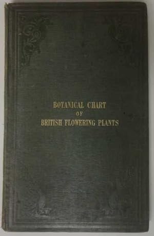 The Botanical Chart of British Flowering Plants