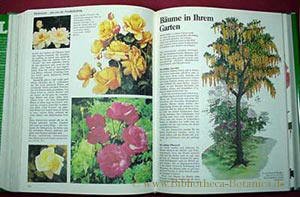 Immagine del venditore per Mein Gartenjahr. Der grosse Bildband vom Pflanzen, Wachsen, Blhen und Ernten. venduto da Bibliotheca Botanica