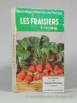 Les Fraisiers.