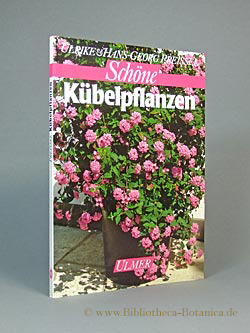 Bild des Verkufers fr Schne Kbelpflanzen. zum Verkauf von Bibliotheca Botanica