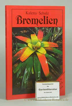 Bromelien.