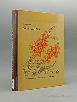 Zierpflanzen.