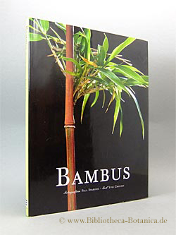 Image du vendeur pour Bambus. mis en vente par Bibliotheca Botanica
