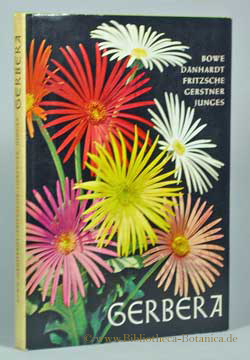 Seller image for Gerbera. for sale by Bibliotheca Botanica