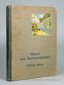 Imagen del vendedor de Rosen und Sommerblumen. a la venta por Bibliotheca Botanica