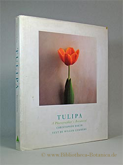 Tulipa. A Photographers Botanical.