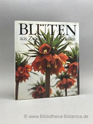 Bild des Verkufers fr Blten aus Zwiebeln und Knollen. zum Verkauf von Bibliotheca Botanica