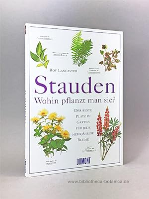 Seller image for Stauden: Wohin pflanzt man sie? Der beste Platz im Garten fr jede mehrjhrige Blume. for sale by Bibliotheca Botanica