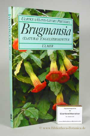 Seller image for Brugmansia. (Datura) Engelstrompeten. for sale by Bibliotheca Botanica